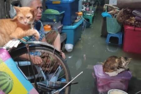 Flooded Yangon home