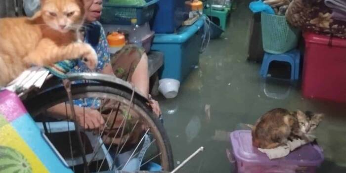 Flooded Yangon home