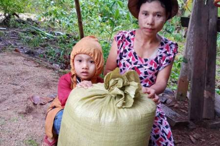 Rice for Tanintharyi area family